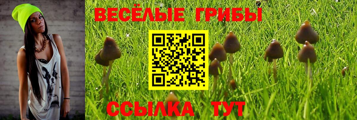 Псилоцибиновые грибы прущие грибы Октябрьский